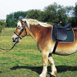 Selle EXCELSIOR cheval de trait