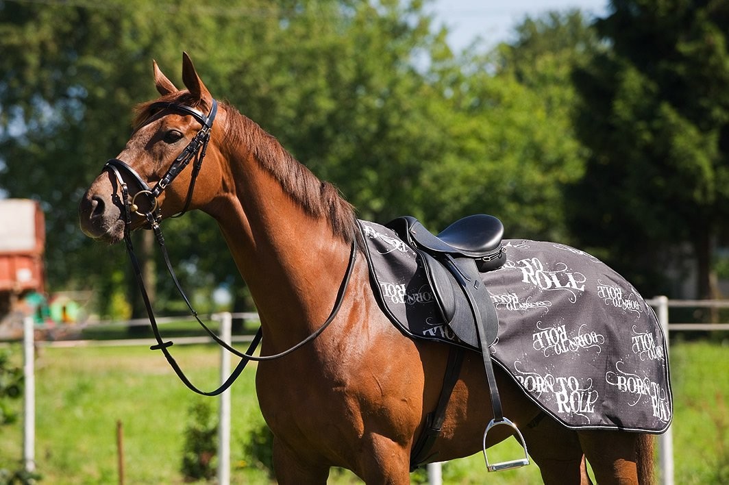 Couverture Cheval Weatherbeeta Landa Original Turnout - Taille 72 Tan - Imperméable