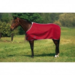 Chemise Equi-Thème Air-sandwich